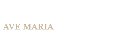 Garage Door Repair Ave Maria logo